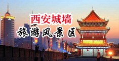 搞基激情插进去视频满18岁点击进入中国陕西-西安城墙旅游风景区